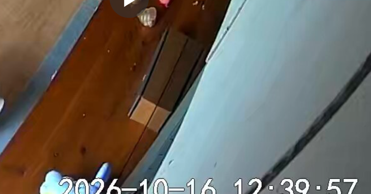 緊急地震速報で愛犬が心配に...急いでペットカメラを確認すると⇒予想外の姿に12万いいね
