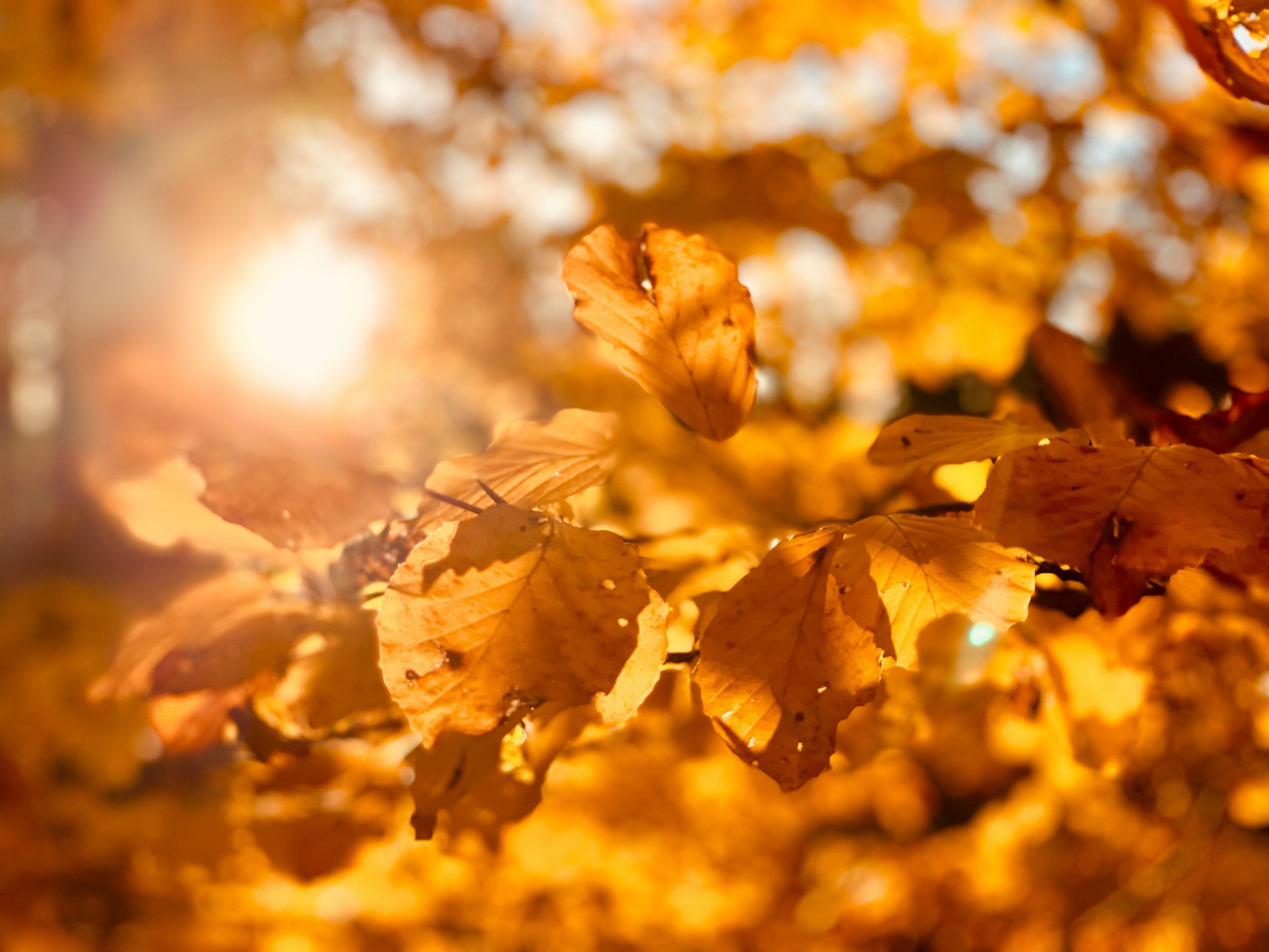 42 minutes of bright daylight linked to lower dementia risk
