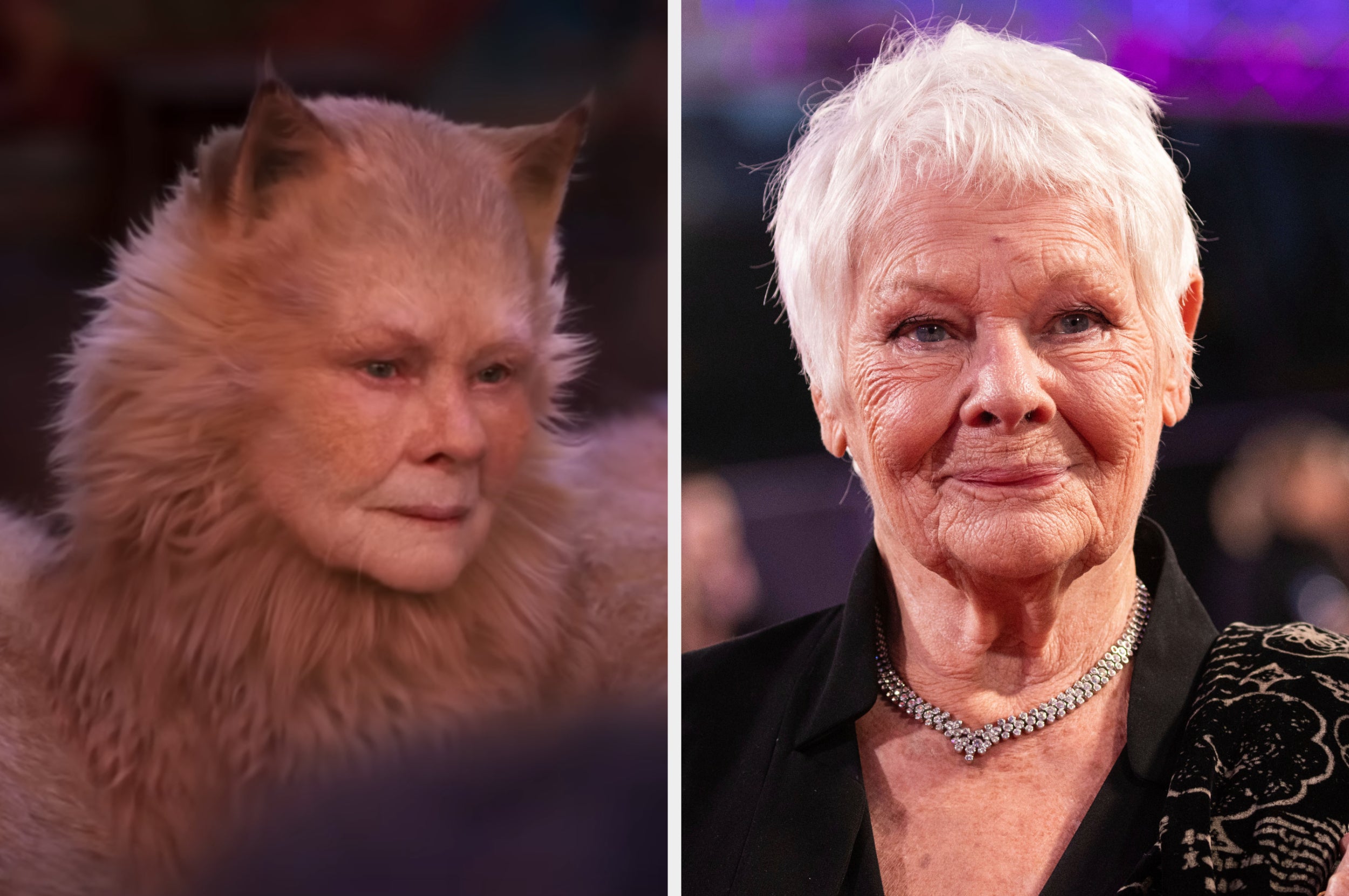 Judi Dench calls Cats film 'a waste of goodwill and talent'