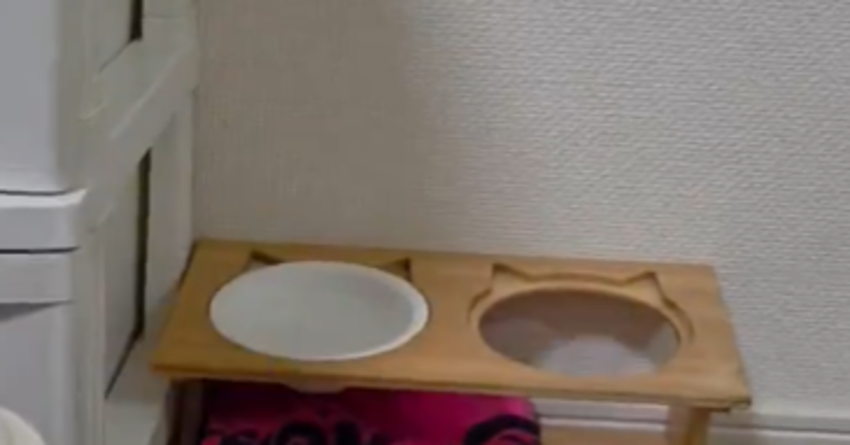 妻「何しとんのー!」の声で駆けつけると⇨愛猫が足を宙に投げ出して…衝撃の給水姿に「アクロバティックw」と爆笑