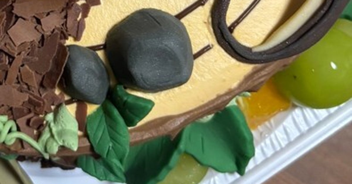 爬虫類好きの夫へ、妻がオーダーした誕生日ケーキがまさかの…⇨驚きのリアルさに「凄すぎ!」「職人技が光ってる」の声