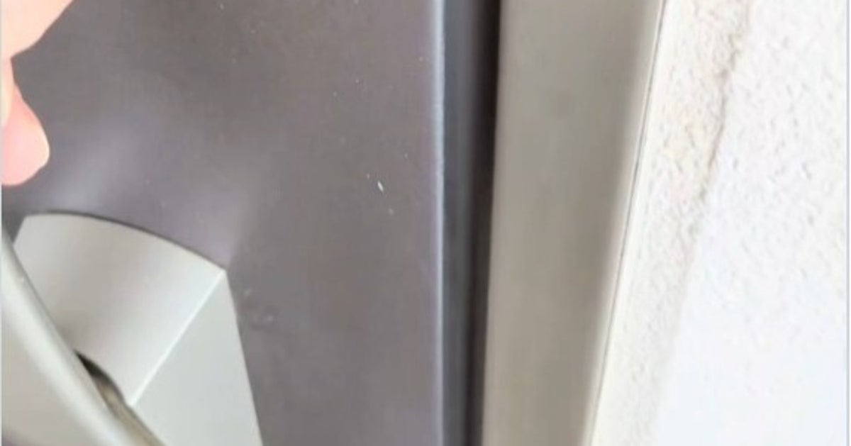 飼い主がドアを開けると…⇨愛犬のお出迎えがホラーすぎた「なぜ笑ってる」「想像超えてきた」と反響