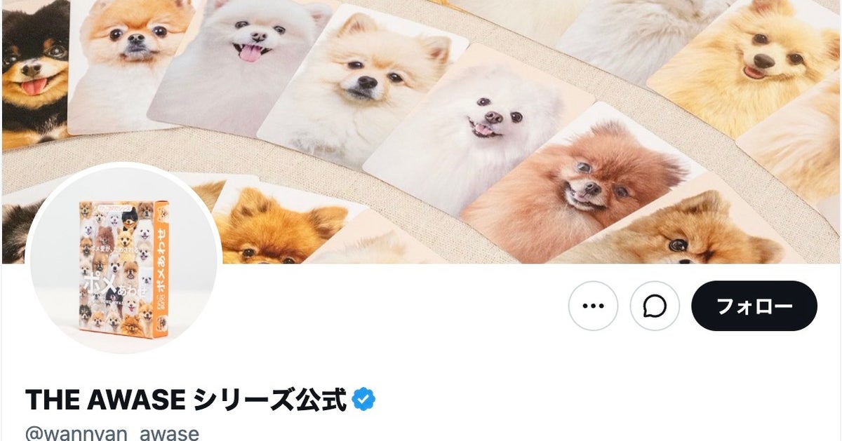 4匹のキジトラ猫のうち1匹が女の子⇒正解率9%の難問に「うちの子に似てる？」「ぜんぶかわいい！」の声