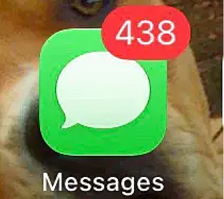 The nonstop barrage of political text messages is "borderline harassment," says Jeff, a Georgia voter.