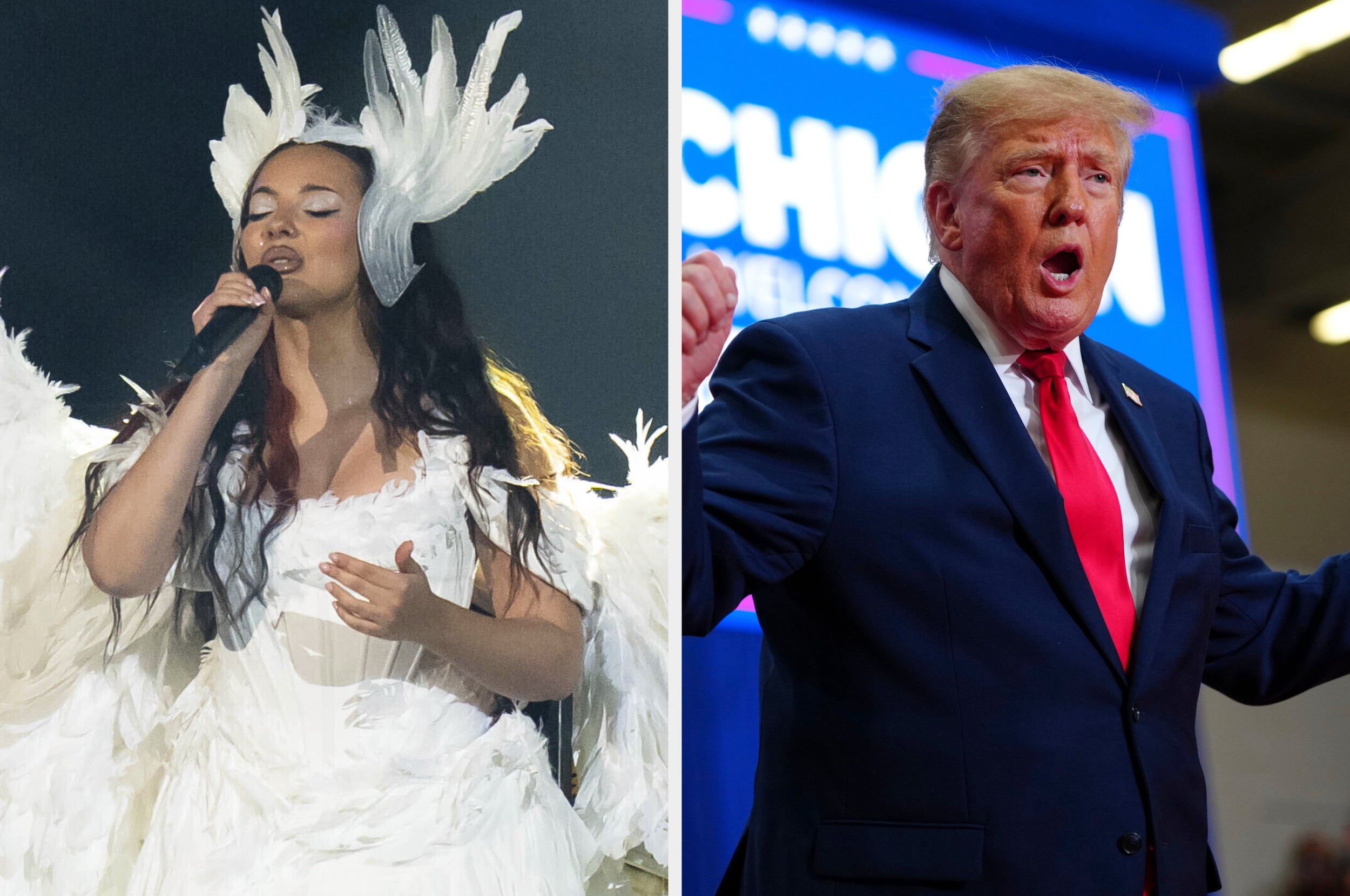 Jade Song Pulled From Donald Trump Administration's TikTok Post After Mere Hours