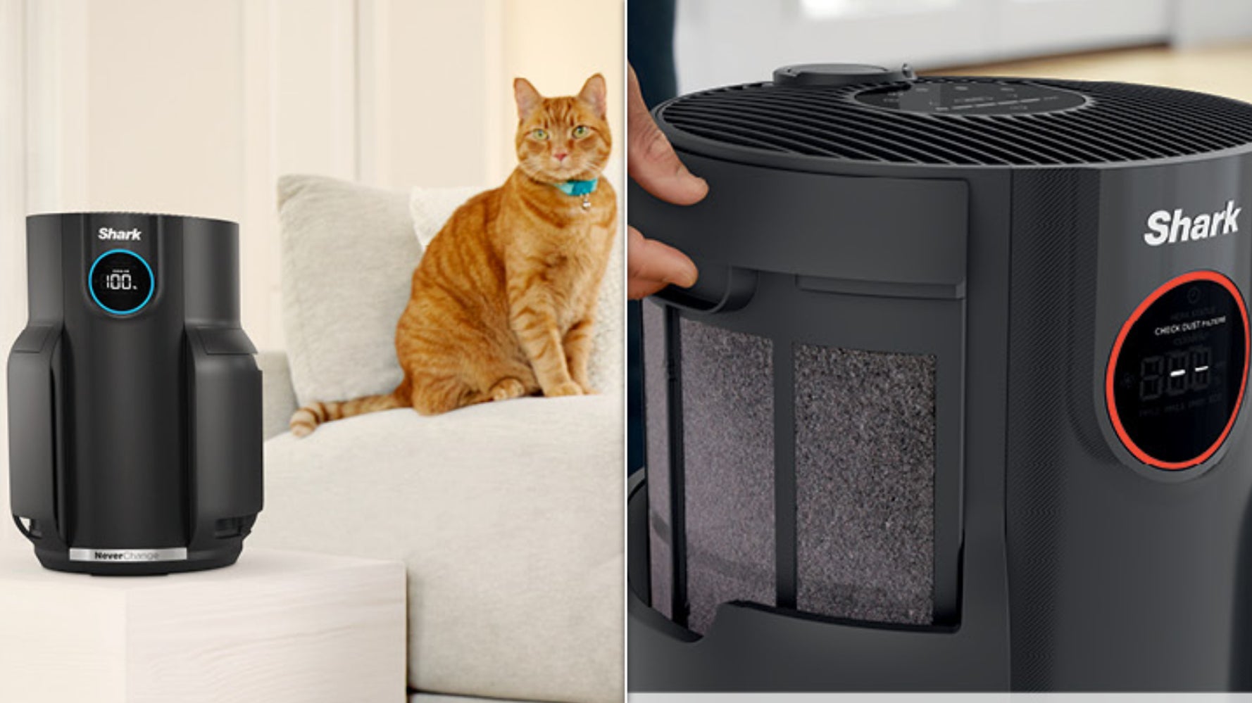 Shark’s Air Purifier With A 5-Year Filter Is 40% Off