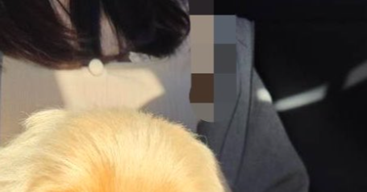 妻が撮ると「キラキラの愛犬」⇒では夫だと...?豹変ぶりに爆笑「完全に別犬w」
