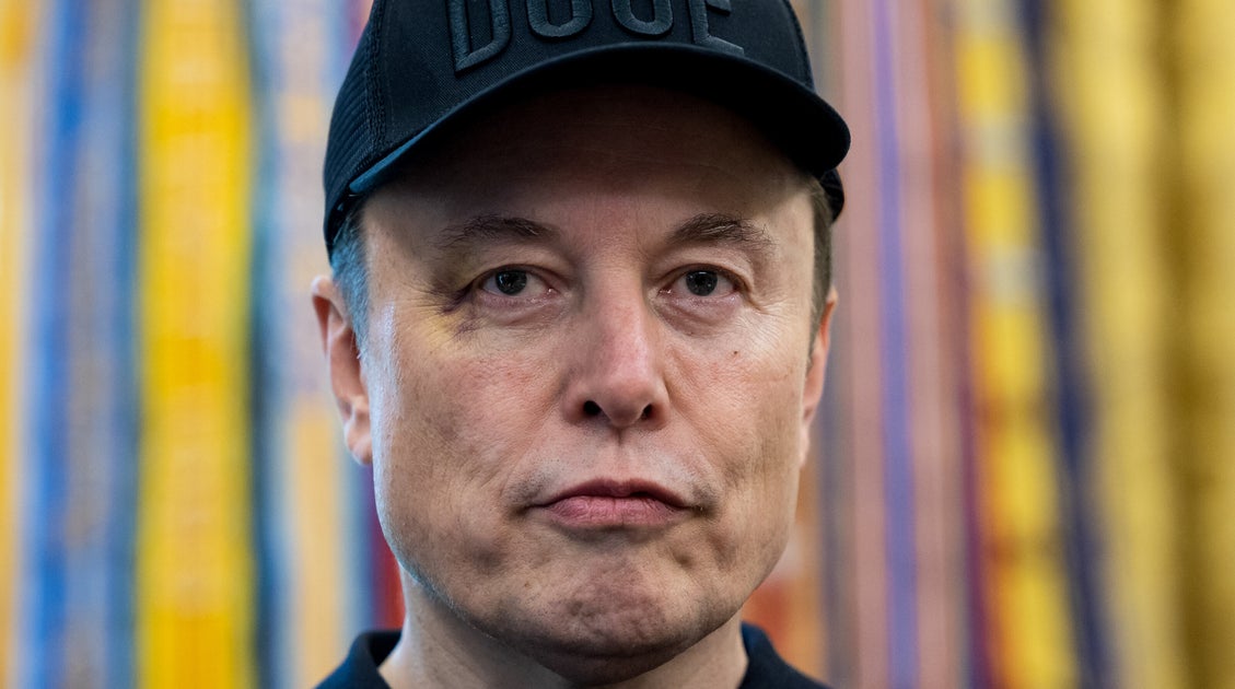 Elon Musk's $446 Million Midterms Push and Democracy's Future