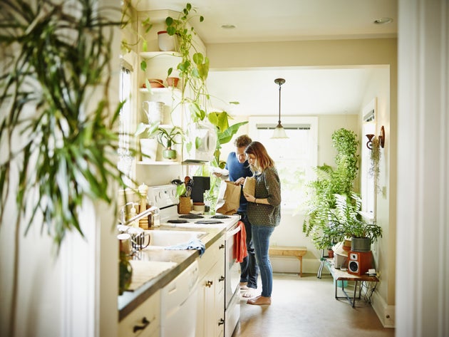 plants and allergy treatment