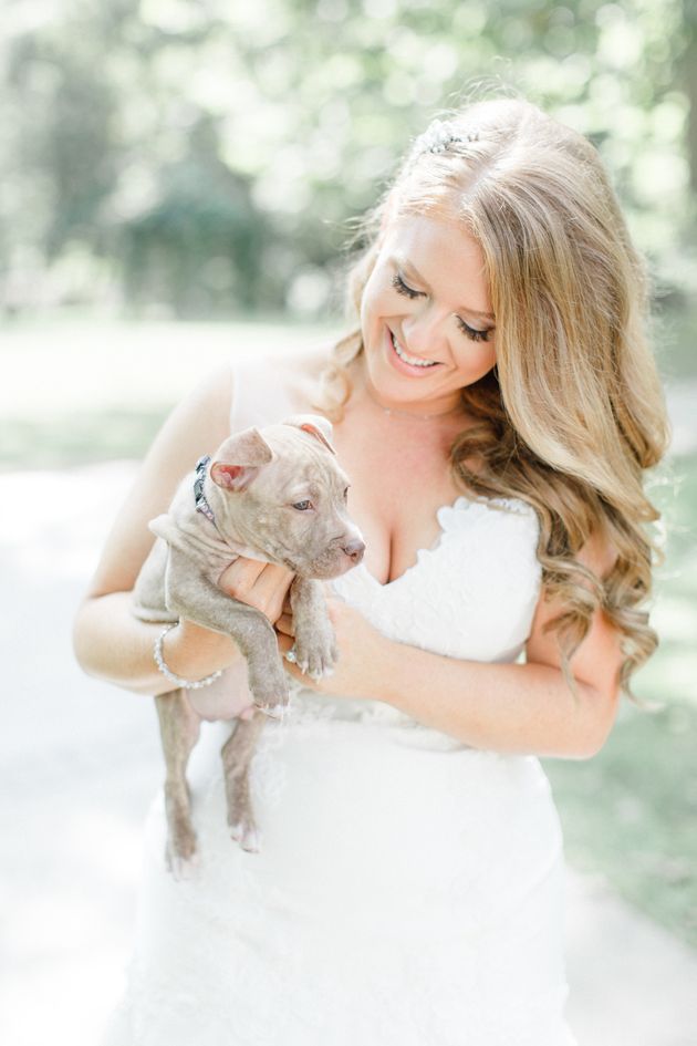 Bride with puppy
