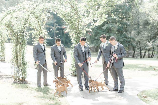 Groomsmen with puppies