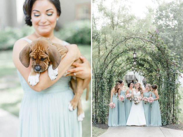 Bridesmaid with puppy