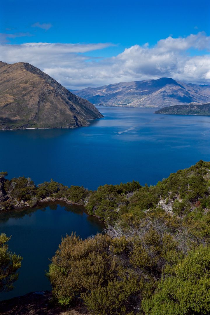 Mou Waho Scenic Reserve Is The Stunning Island You've Never Heard Of ...