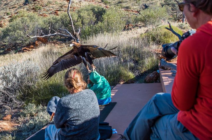 Eagle Tries To Carry Off Small Child During Bird Show | HuffPost