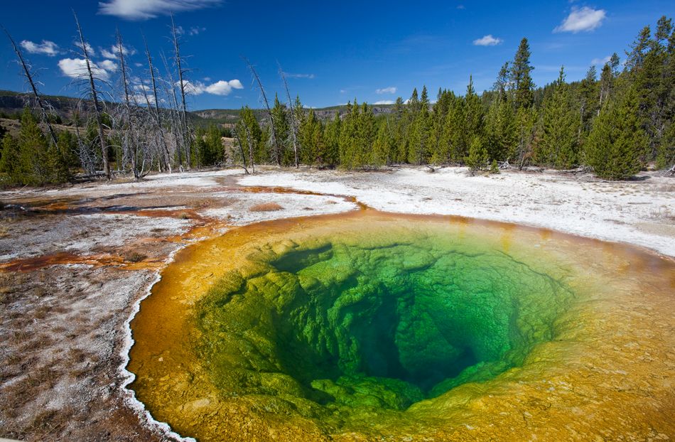 Yellowstone Park: Colin Nathaniel Scott Boiled Alive After Falling Into ...