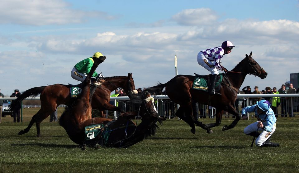 Grand National Horse Deaths At Aintree Racecourse Revealed In New Graphic