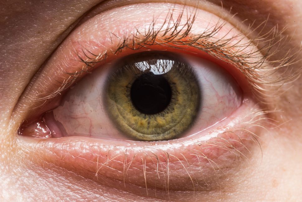 These Macro Photos Reveal The Awesome Diversity Of Human Eyes | HuffPost