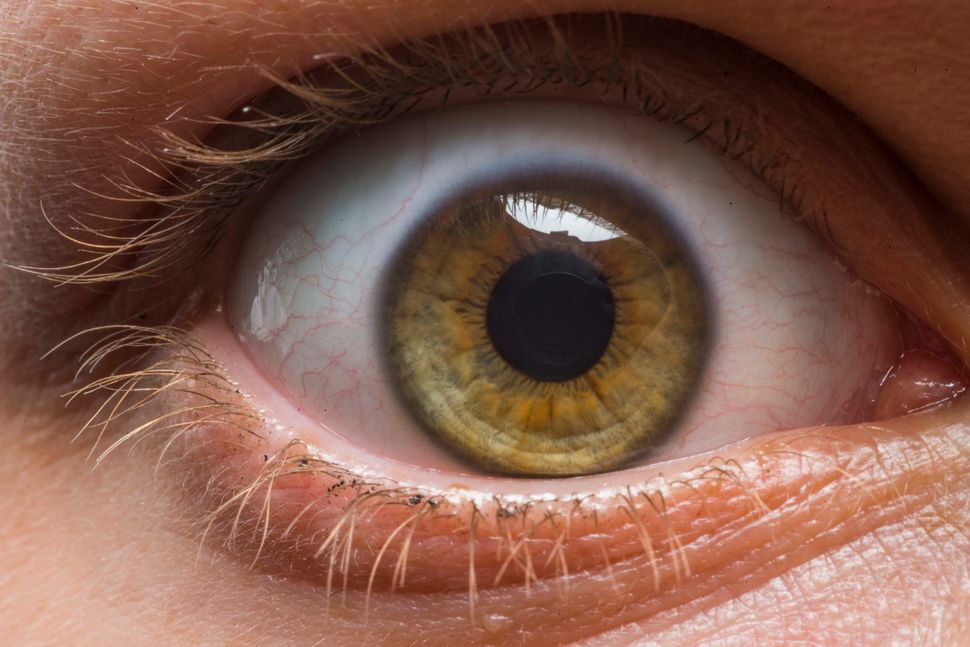 These Macro Photos Reveal The Awesome Diversity Of Human Eyes | HuffPost